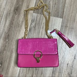 ALDO Wendamare Fuchsia Pink Chain Crossbody Shoulder Bag NWT